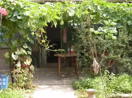 打造一款最美鄉(xiāng)下庭院，土味別墅你也可以擁有